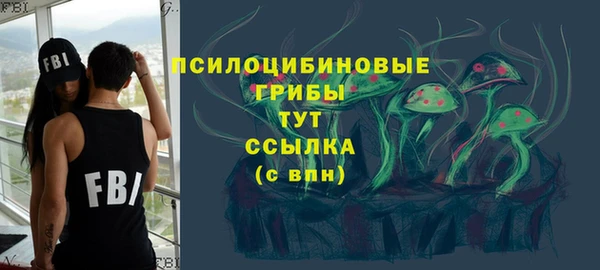 PSILOCYBIN Покачи