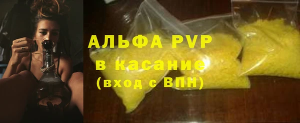 PSILOCYBIN Покачи
