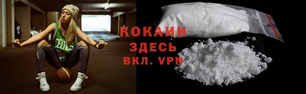 PSILOCYBIN Покачи