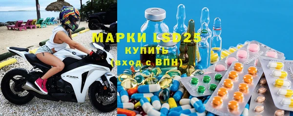 PSILOCYBIN Покачи