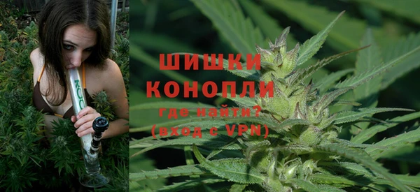PSILOCYBIN Покачи