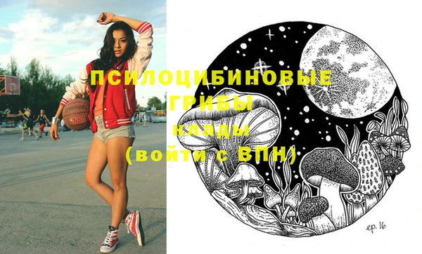 твердый Покров