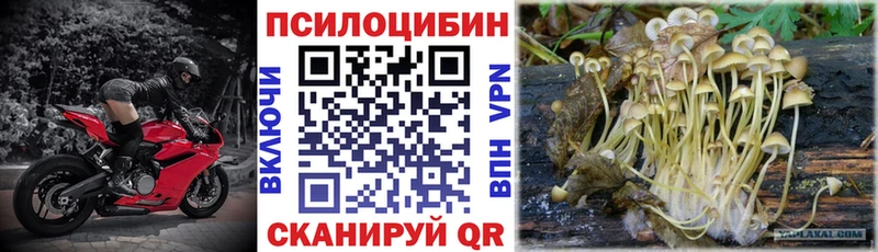 hydra ONION  Курск  Галлюциногенные грибы ЛСД 