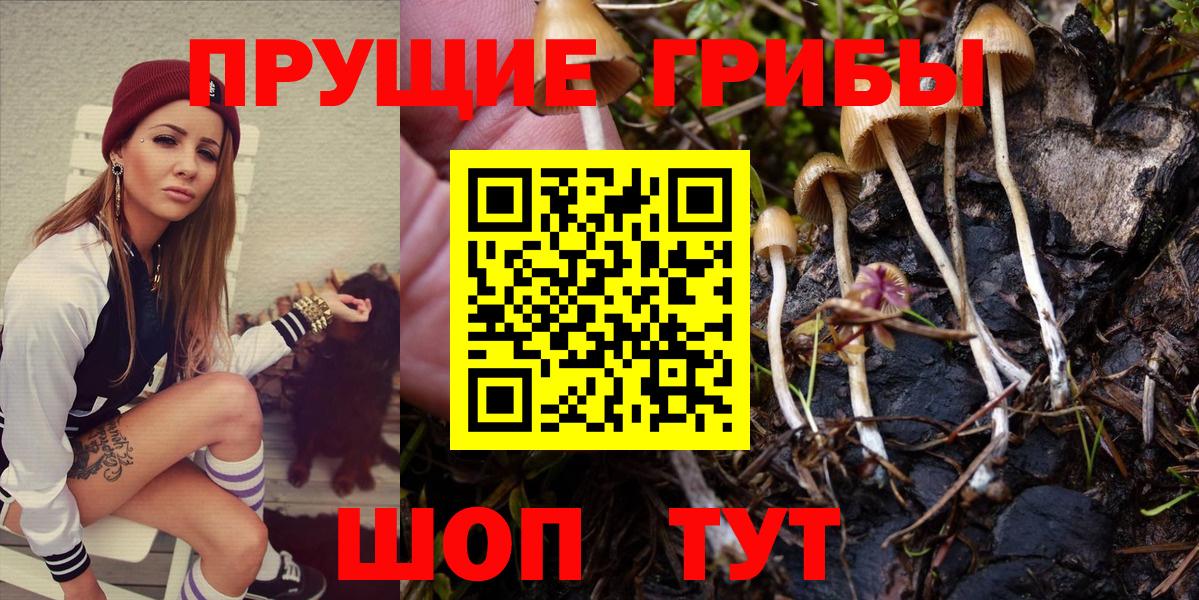 Псилоцибиновые грибы GOLDEN TEACHER  Вход с VPN  Курск 
