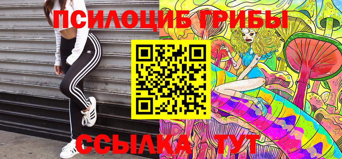 Галлюциногенные грибы мицелий Курск